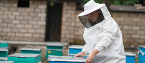 Sahibkarliğa dəstək layihəsi